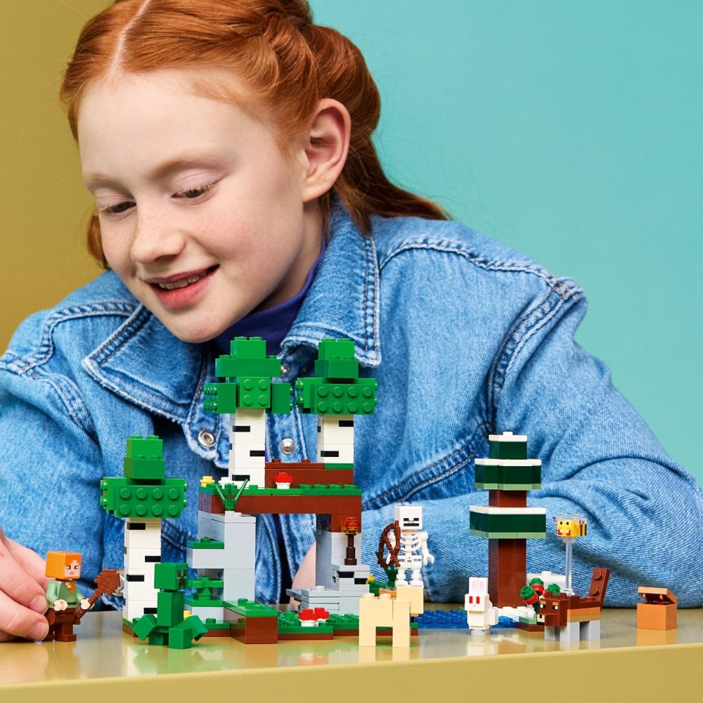 LEGO® Minecraft - Първото нощно приключение (21593)