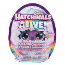 Фигурка изненада в яйце, Hatchimals Alive, Rainbow Splash, 6069900